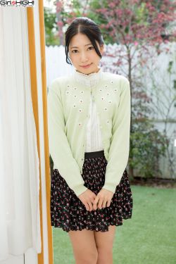新金牌梅花2在线播放