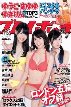 杨家艳史第14部分