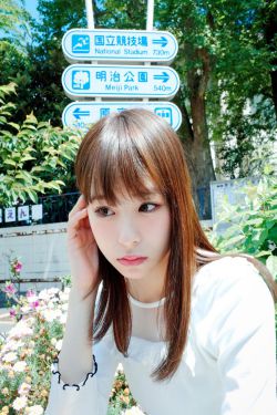 2025十二生肖号码表